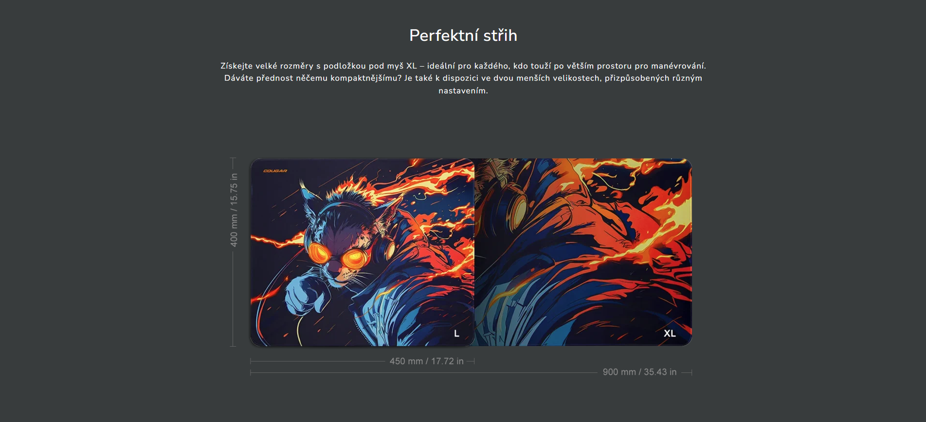 Snímek obrazovky 2026-03-12 142344